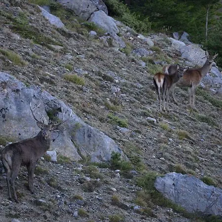 Espace Lumiere - Spa, Sauna Et Salle De Fitness * Meolans-Revel