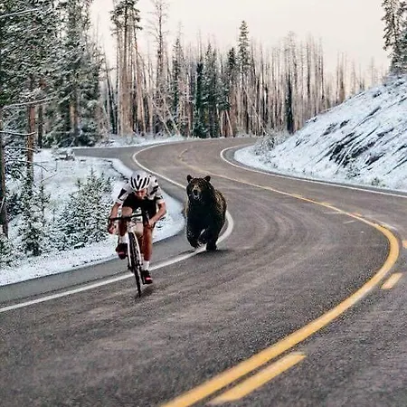 Espace Lumiere - Spa, Sauna Et Salle De Fitness Holiday home Meolans-Revel