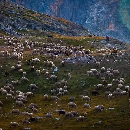 Holiday home Espace Lumiere - Spa, Sauna Et Salle De Fitness